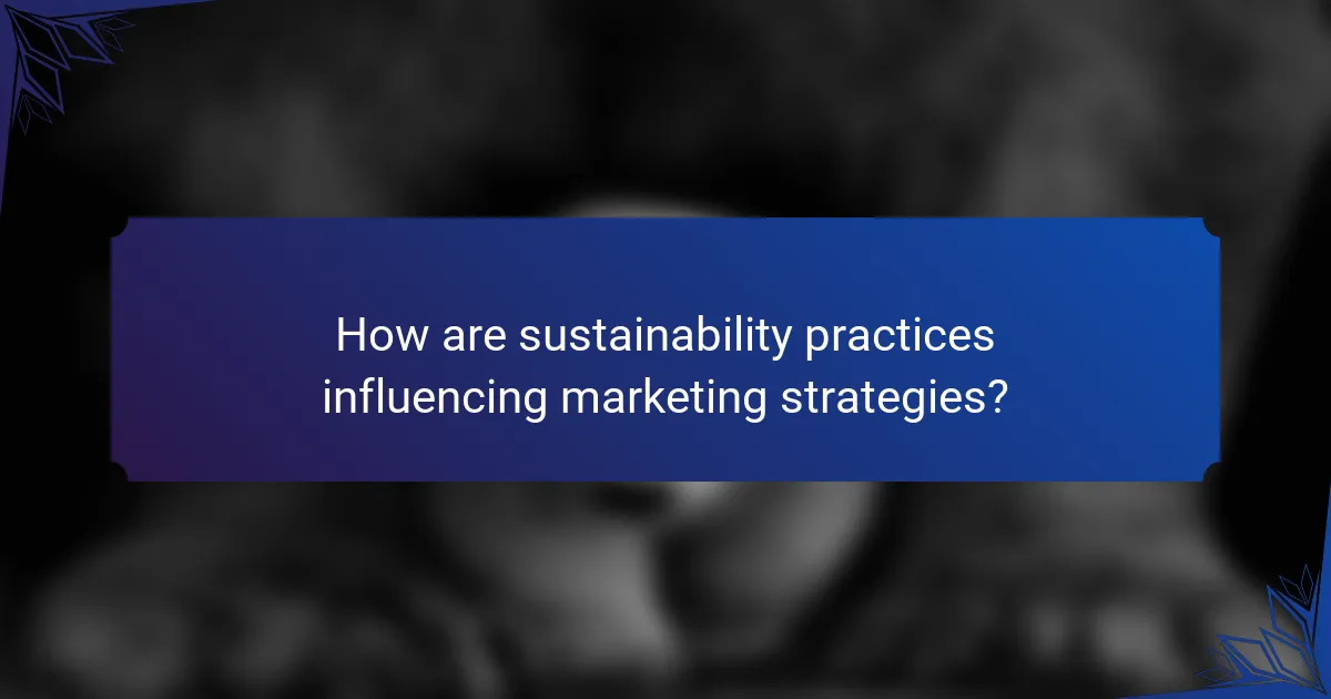 How are sustainability practices influencing marketing strategies?