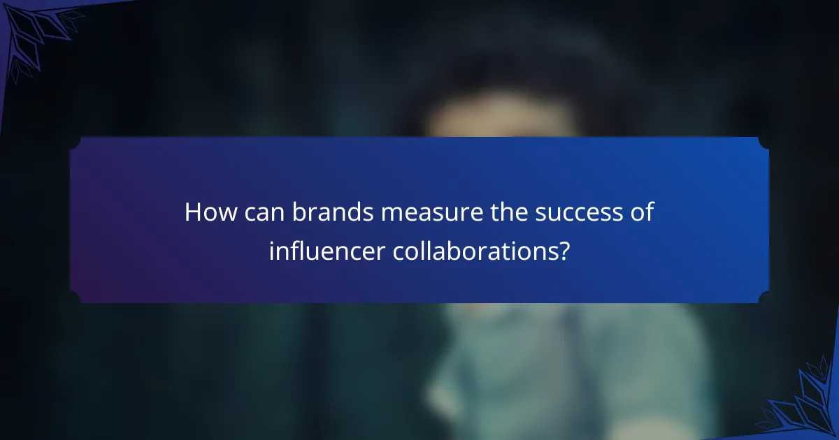 How can brands measure the success of influencer collaborations?