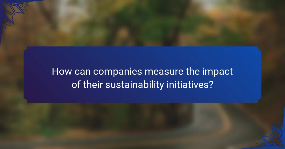 How can companies measure the impact of their sustainability initiatives?