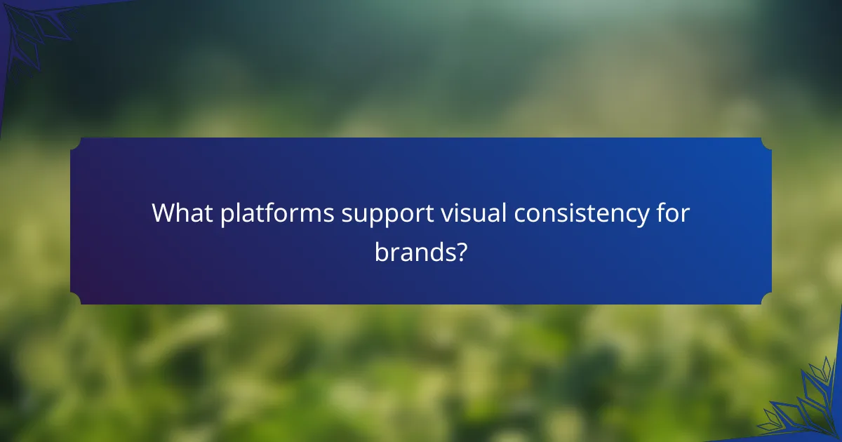 What platforms support visual consistency for brands?
